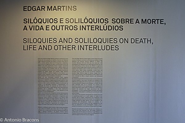 MAAT-EdgarMartins-Soliloquios-160629-Fot-Antonio_Bracons (1)