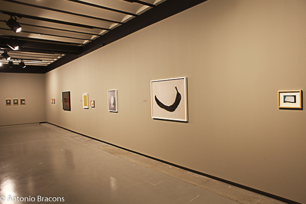 MAAT-EdgarMartins-Soliloquios-160629-Fot-Antonio_Bracons (13)