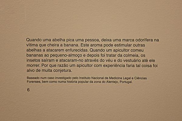 MAAT-EdgarMartins-Soliloquios-160629-Fot-Antonio_Bracons (14)