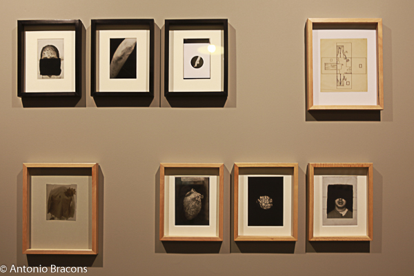 MAAT-EdgarMartins-Soliloquios-160629-Fot-Antonio_Bracons (4)