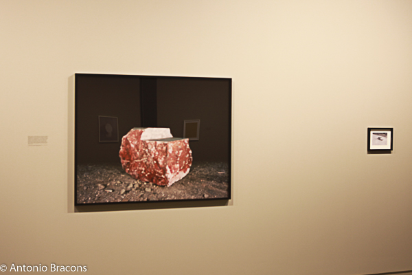 MAAT-EdgarMartins-Soliloquios-160629-Fot-Antonio_Bracons (7)