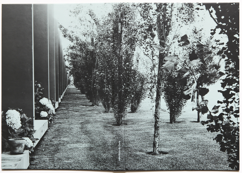 João_Mota_Costa-Alamos (2)