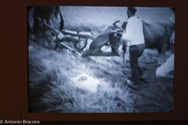 MuseuNacEtnologia-InqueritosTerritorio-Fot_Antonio_Bracons (42)