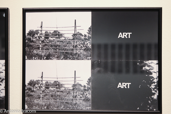 MuseuNacEtnologia-InqueritosTerritorio-Fot_Antonio_Bracons (44)