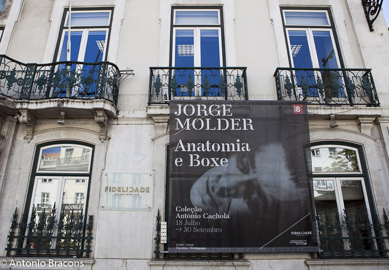 jorge_molder-anatomia_boxe-chiado8-2016-fot_antonio_bracons-1