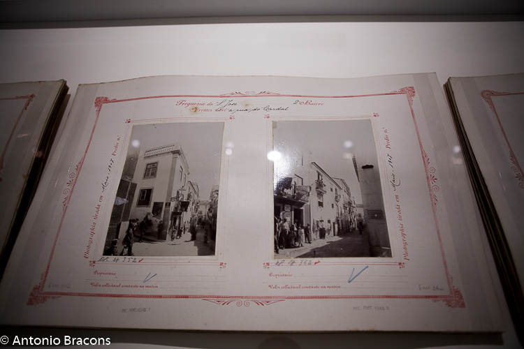 aml-fot-lisboa-uma_grande_surpresa-2016-fot_antonio_bracons-10