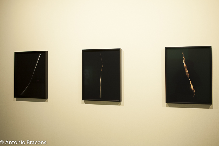 exp-edgar_martins-siloquios-gal_crist_guerra-2016-fot-ant-bracons-20