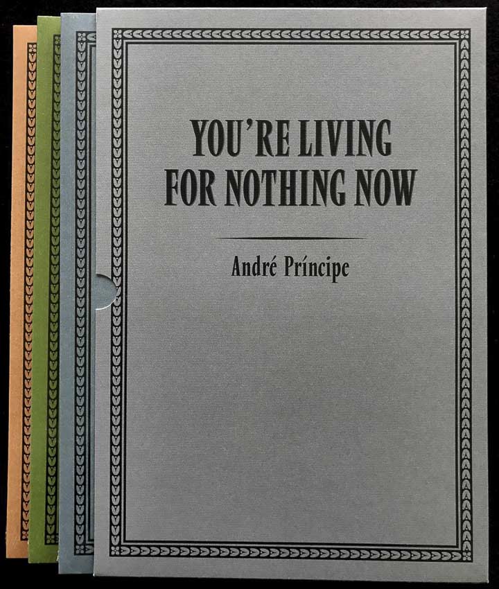 andre_principe-yourelivingfornothingnow
