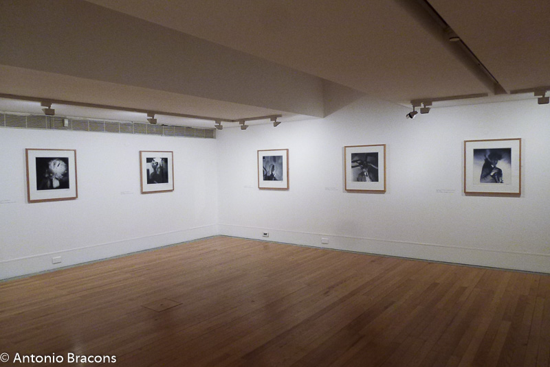 exp-fund_berardo-fernando_lemos-fot_ant_bracons-1