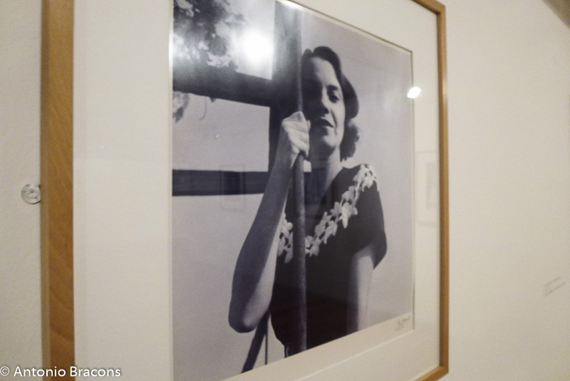 exp-fund_berardo-fernando_lemos-fot_ant_bracons-9