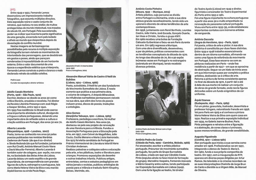 fernando-lemos-folha-sala-2