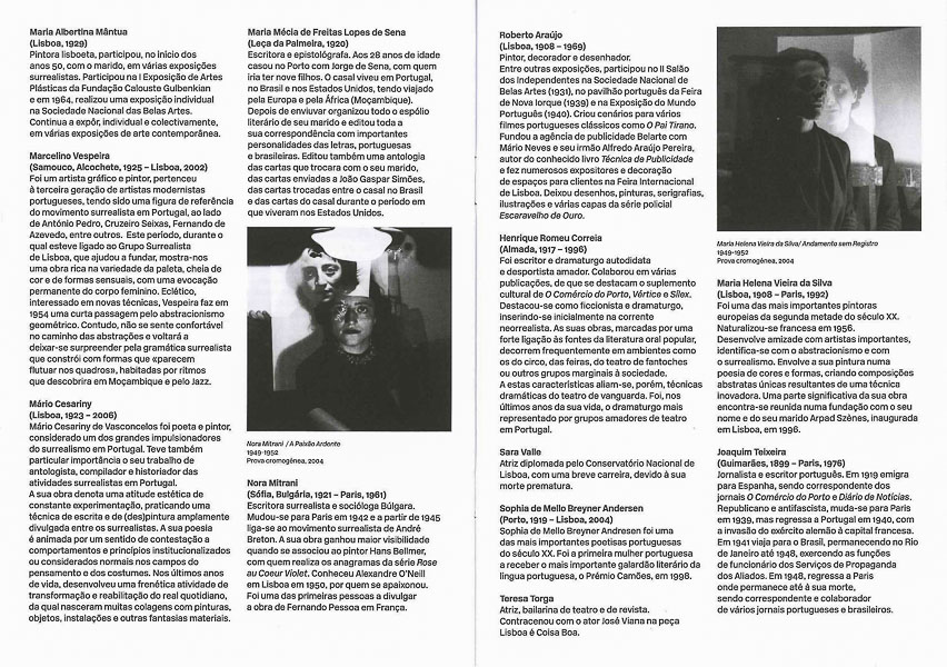 fernando-lemos-folha-sala-4