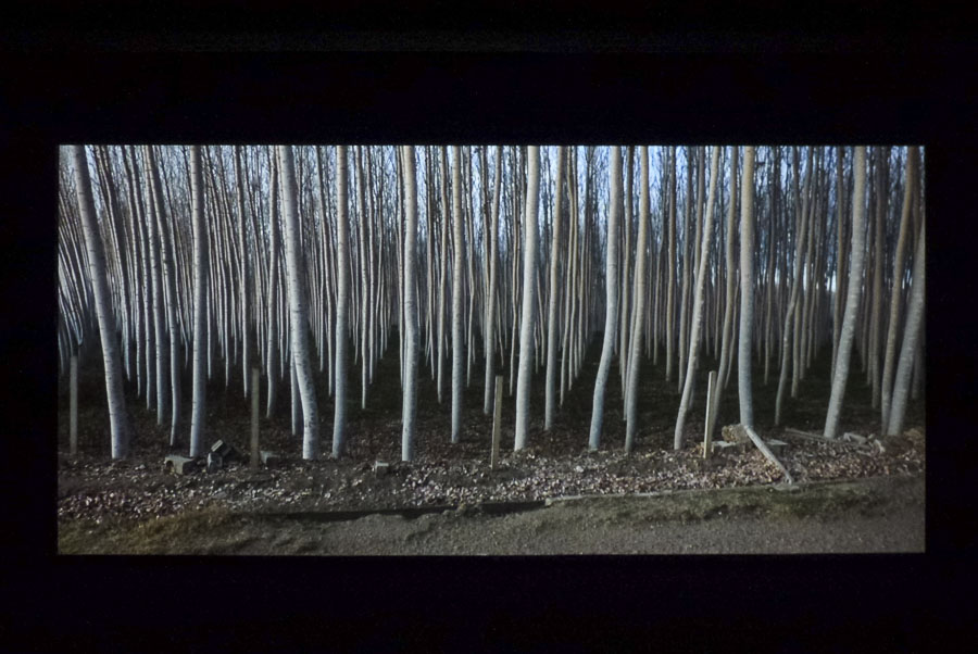 augusto_alves_silva-cielo_y_luz-2017-appletonsquare-fot_a_bracons-15