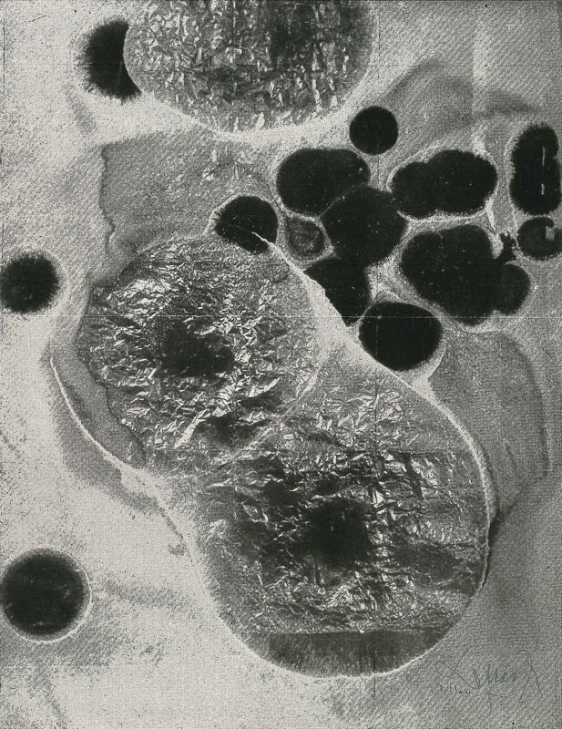 azevedo-lemos-vespeira-casa_jalco-10-1