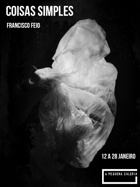 francisco-feio-170112