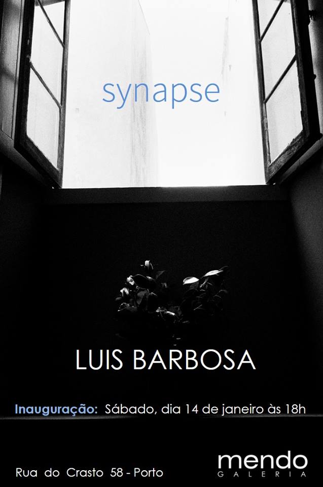 luis-barbosa-mendo-gal-170114