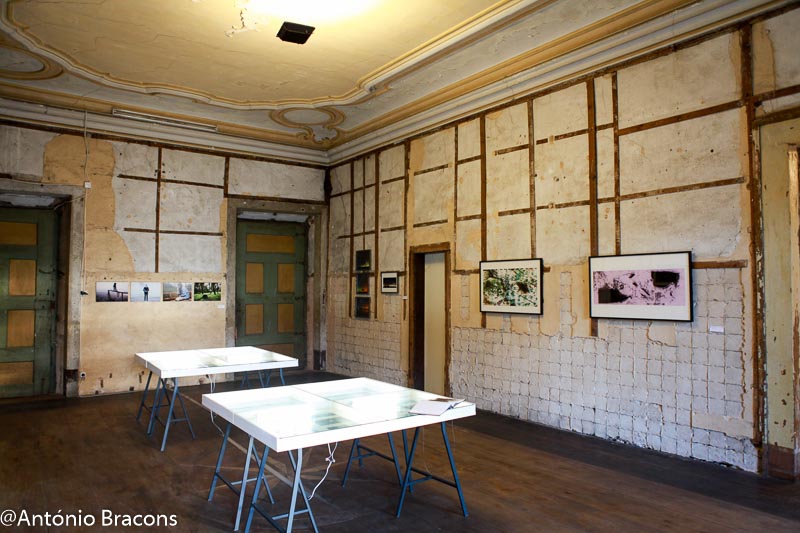 carpediem-x16-finalistas-iade-1-fot_ant_bracons-33