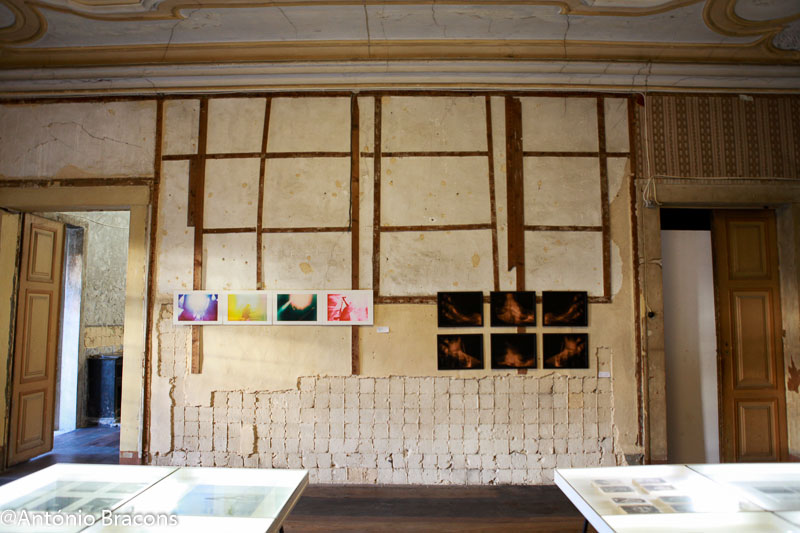 carpediem-x16-finalistas-iade-1-fot_ant_bracons-35