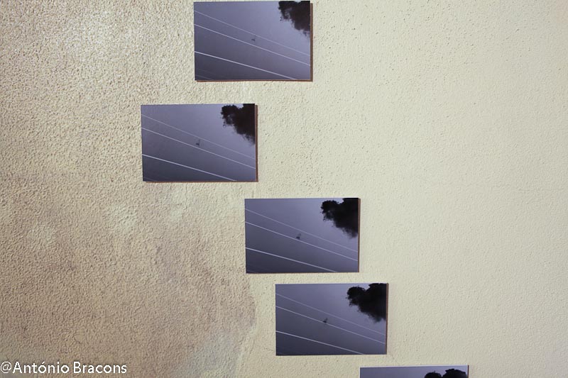 170311-Exp-AtelierLx-Confeitaria-Final_Proj-or_PCatrica-Fot_A_Bracons (55)