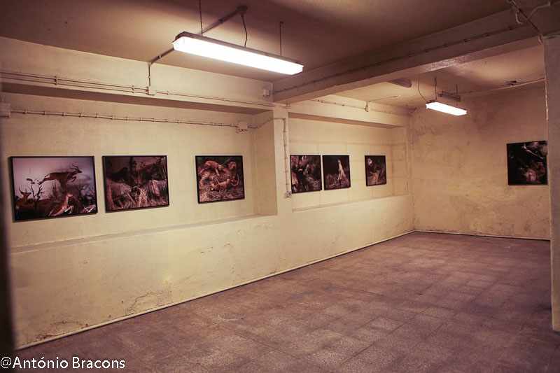 170311-Exp-AtelierLx-Confeitaria-Final_Proj-or_PCatrica-Fot_A_Bracons (90)