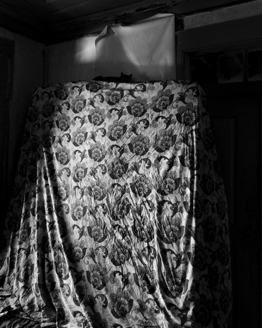 Valter_Vinagre-A_Voz_na_Cabeca (2)