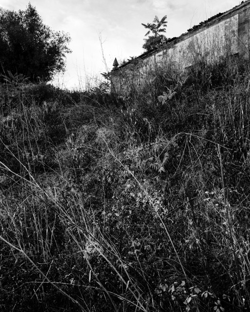 Valter_Vinagre-A_Voz_na_Cabeca (3)