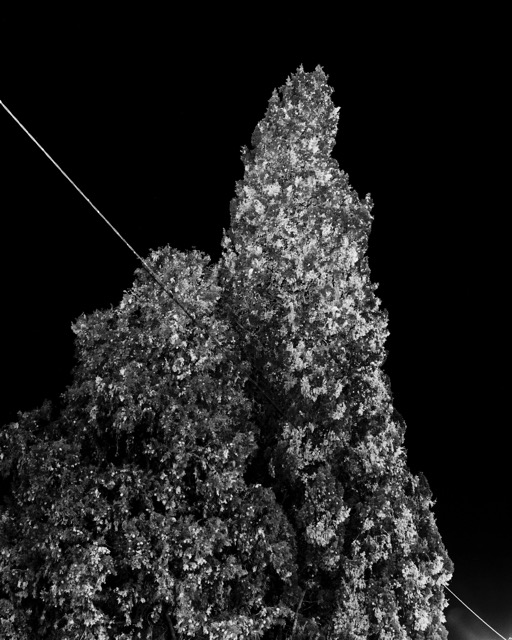 Valter_Vinagre-A_Voz_na_Cabeca (5)