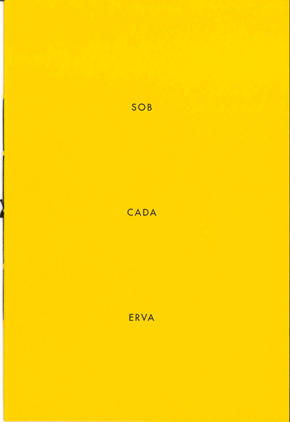 Rui_Dias_Monteiro-Sob_cada_erva (1)