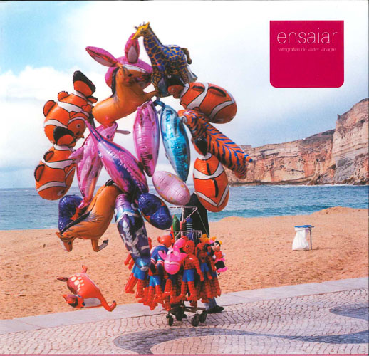 Valter Vinagre-Ensaiar- (1)