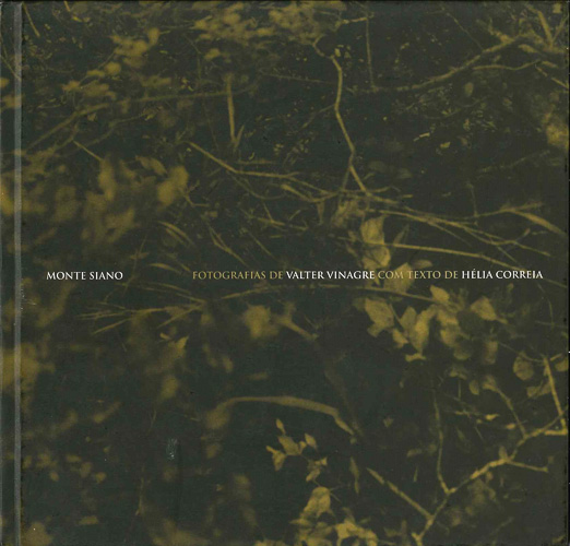 Valter Vinagre-Monte Siano (1)