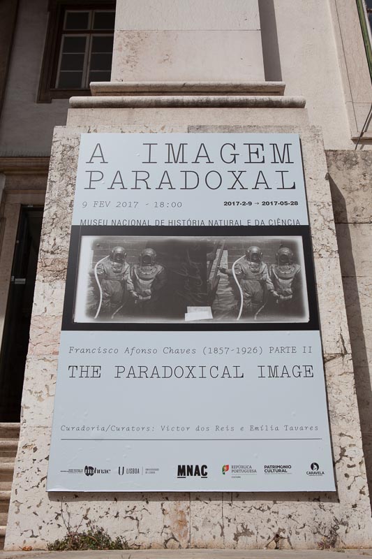 Lisboa-Museu_C_Hist_Nat-Francisco_Afonso_Chaves-2017-Fot_Antonio_Bracons (1)