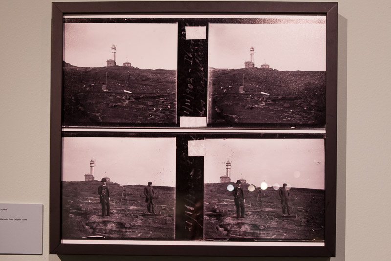 Lisboa-Museu_C_Hist_Nat-Francisco_Afonso_Chaves-2017-Fot_Antonio_Bracons (14)