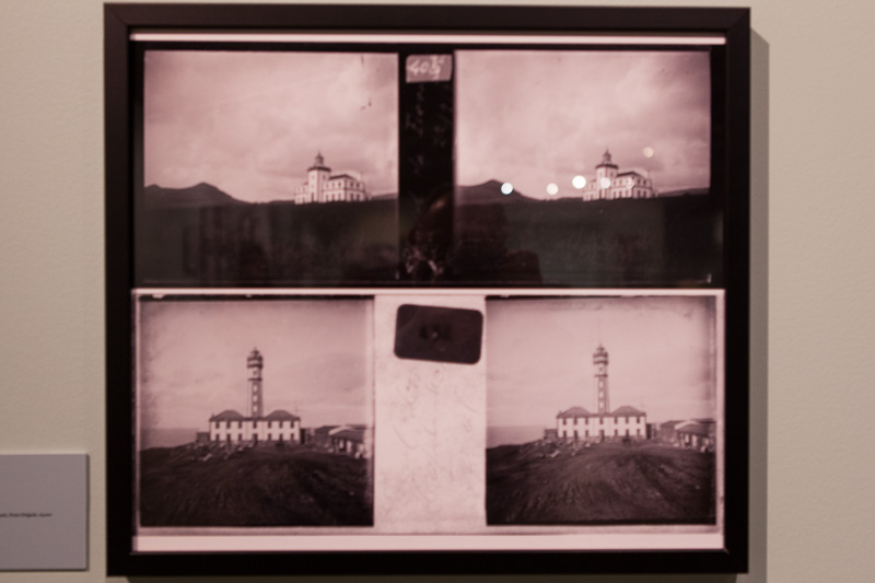 Lisboa-Museu_C_Hist_Nat-Francisco_Afonso_Chaves-2017-Fot_Antonio_Bracons (15)