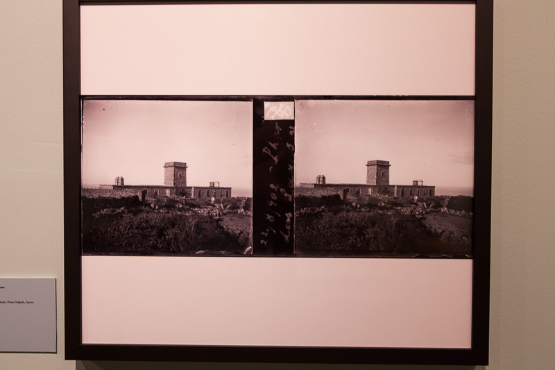 Lisboa-Museu_C_Hist_Nat-Francisco_Afonso_Chaves-2017-Fot_Antonio_Bracons (17)