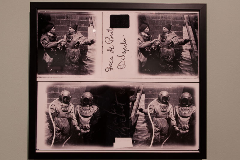 Lisboa-Museu_C_Hist_Nat-Francisco_Afonso_Chaves-2017-Fot_Antonio_Bracons (20)