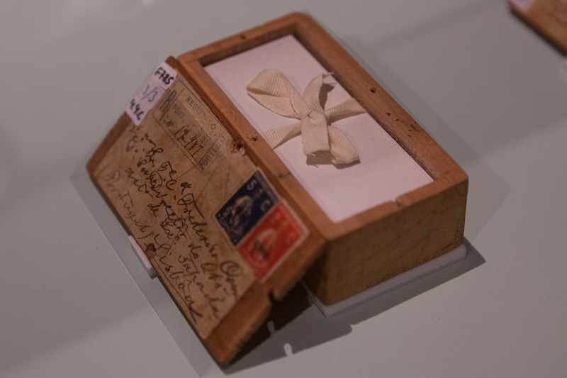 Lisboa-Museu_C_Hist_Nat-Francisco_Afonso_Chaves-2017-Fot_Antonio_Bracons (21)