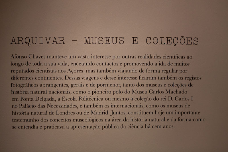 Lisboa-Museu_C_Hist_Nat-Francisco_Afonso_Chaves-2017-Fot_Antonio_Bracons (23)