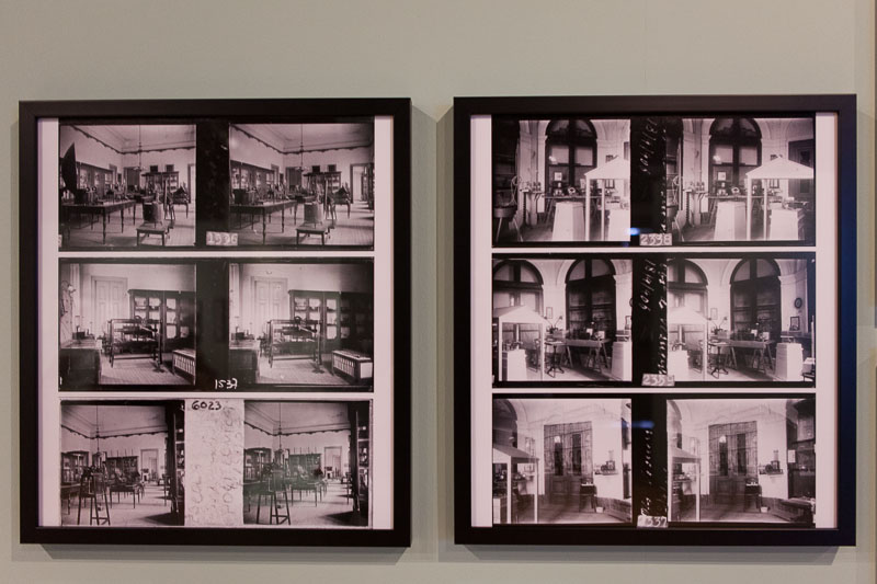 Lisboa-Museu_C_Hist_Nat-Francisco_Afonso_Chaves-2017-Fot_Antonio_Bracons (24)