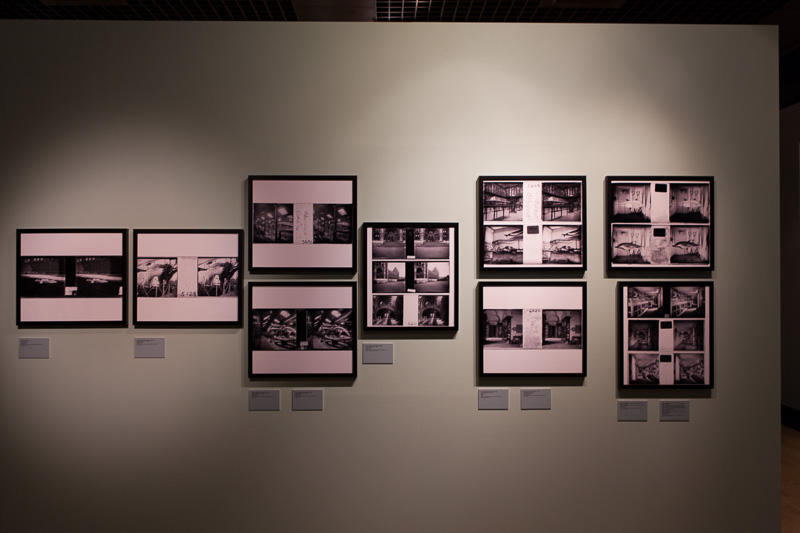 Lisboa-Museu_C_Hist_Nat-Francisco_Afonso_Chaves-2017-Fot_Antonio_Bracons (27)