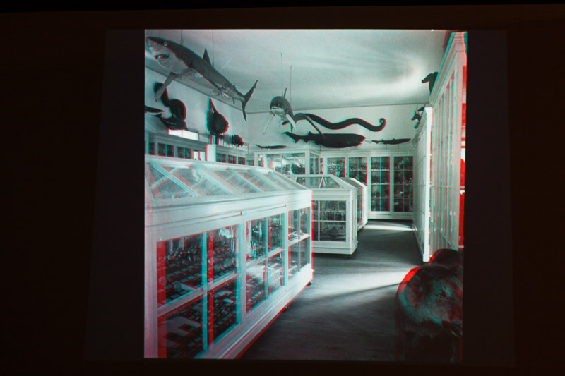 Lisboa-Museu_C_Hist_Nat-Francisco_Afonso_Chaves-2017-Fot_Antonio_Bracons (29)