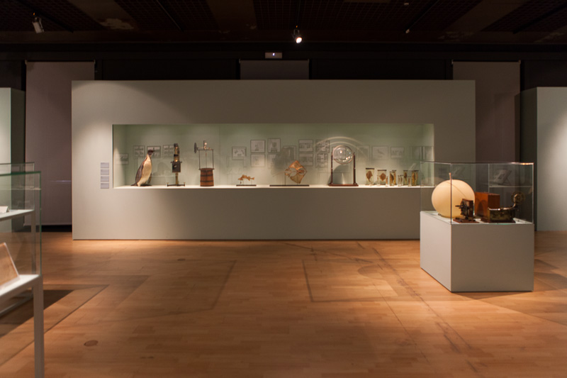 Lisboa-Museu_C_Hist_Nat-Francisco_Afonso_Chaves-2017-Fot_Antonio_Bracons (35)