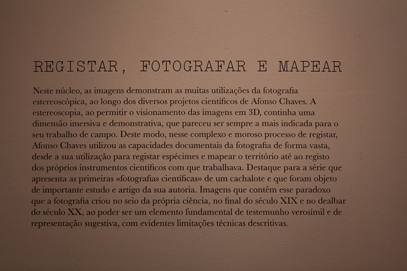 Lisboa-Museu_C_Hist_Nat-Francisco_Afonso_Chaves-2017-Fot_Antonio_Bracons (37)