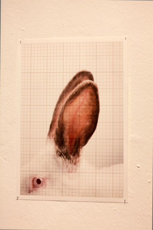 170923-ESBAL-de_para_de-Fot_Ant_Bracons (45)