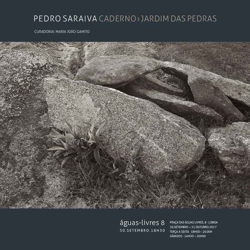 21752234_508133722855856_1536429368760157125_n