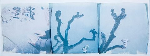 Ana Antunes e Neiva Vieira