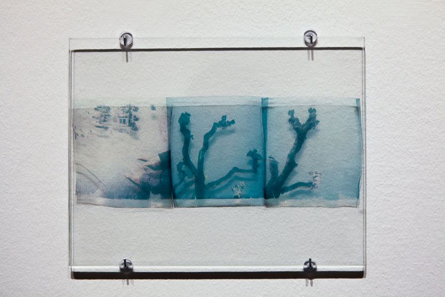 Projeto Coletivo-IPF-2017-Lisboa-AML-F-Fot_Ant_Bracons (7)