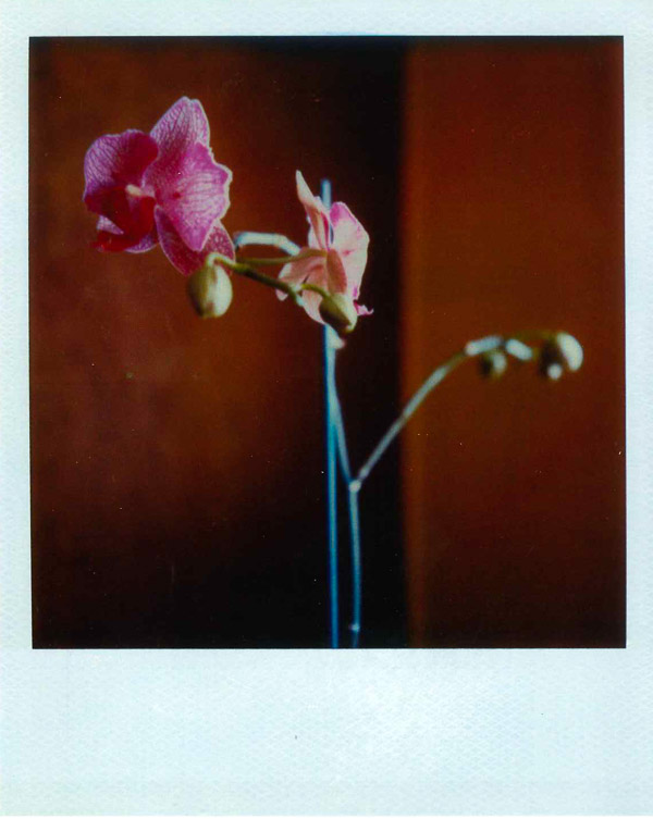 Monteiro_Gil-Paisagens _Domesticas-2002-convite (1)