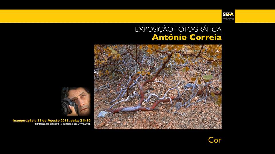 39558155_697410030611859_4598184780142477312_n