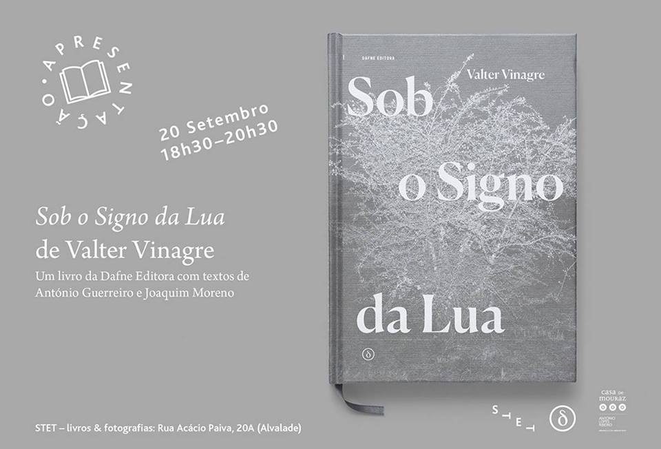 42099799_1988829944513797_4324900190101176320_n