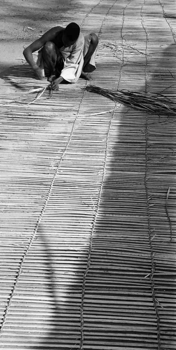 António Saragga Seabra, 1959 - Produção de esteira-30147